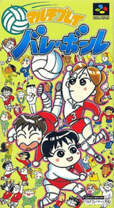 マルチプレイバレーボール