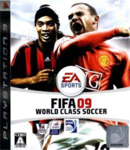 FIFA 13 ワールドクラス サッカー