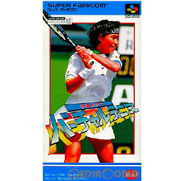 伊達公子のバーチャルテニス
